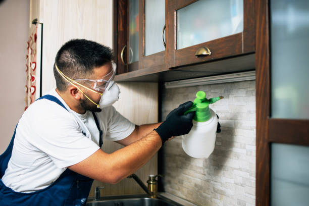 Professional Pest Control in Lykens, PA