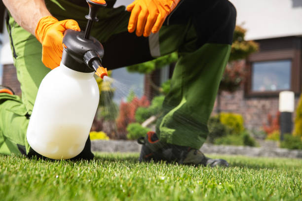 Best Pest Removal Services  in Lykens, PA