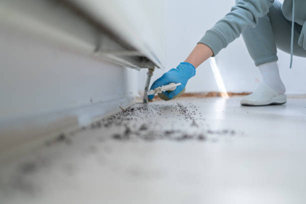 Best Exterminator Services  in Lykens, PA